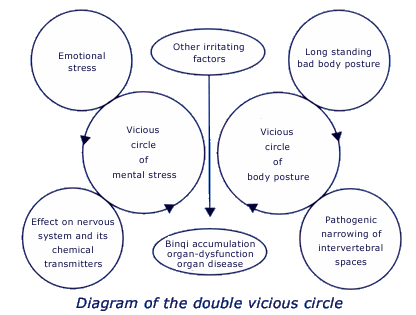 diagram showing the double vicious circle